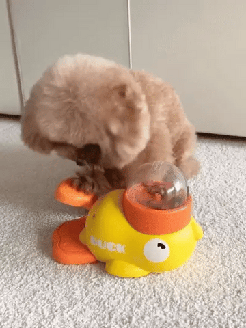 Quack-A-Snack Slow Feeder